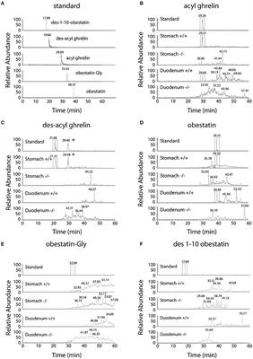 Combination of Selective Immunoassays and Mass Spectrometry to Characterize Preproghrelin-Derived Peptides in Mouse Tissues